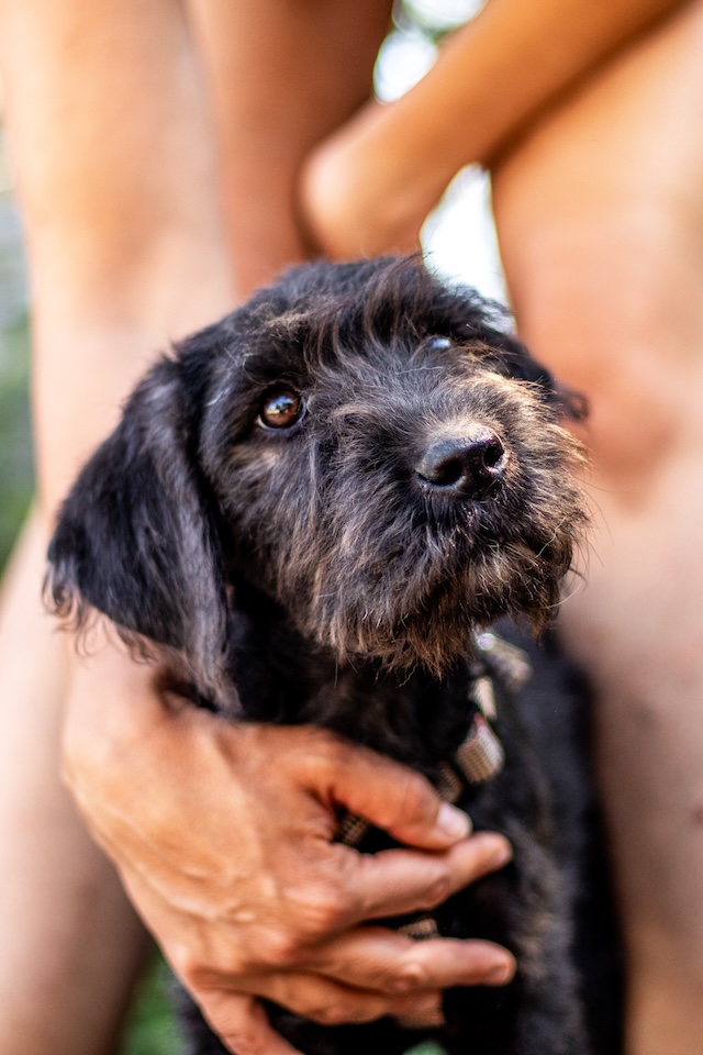 fellengel_mariechen1