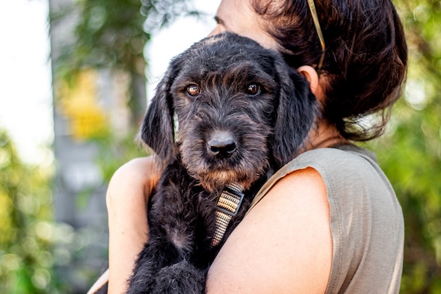 fellengel_mariechen3