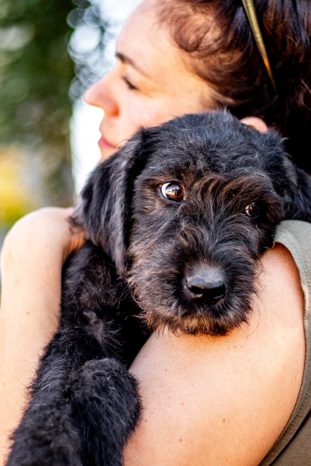 fellengel_mariechen4