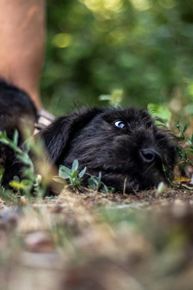 fellengel_mariechen5