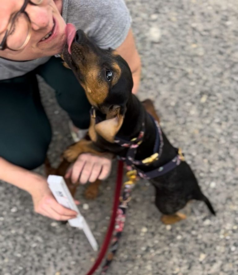 fellengel_rapunzel_2