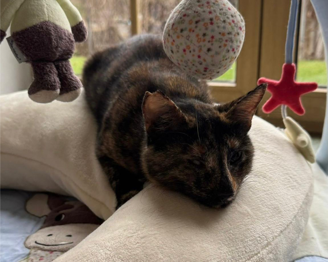 Fellengel_Markella_9