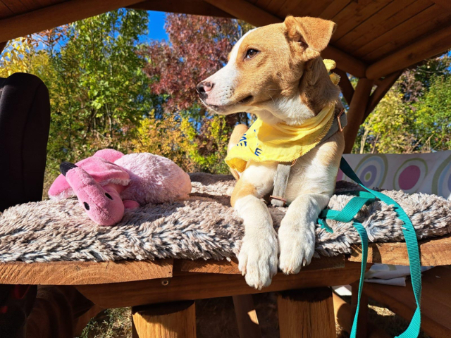 WhatsApp Image 2025-11-15 at 07.19.18 (1)