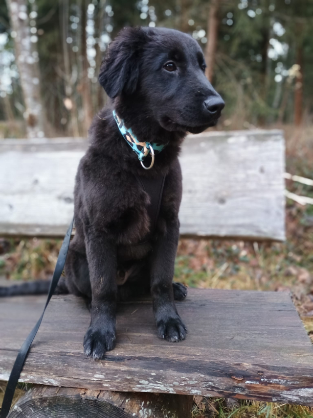 WhatsApp Image 2025-12-17 at 18.25.49 (2)