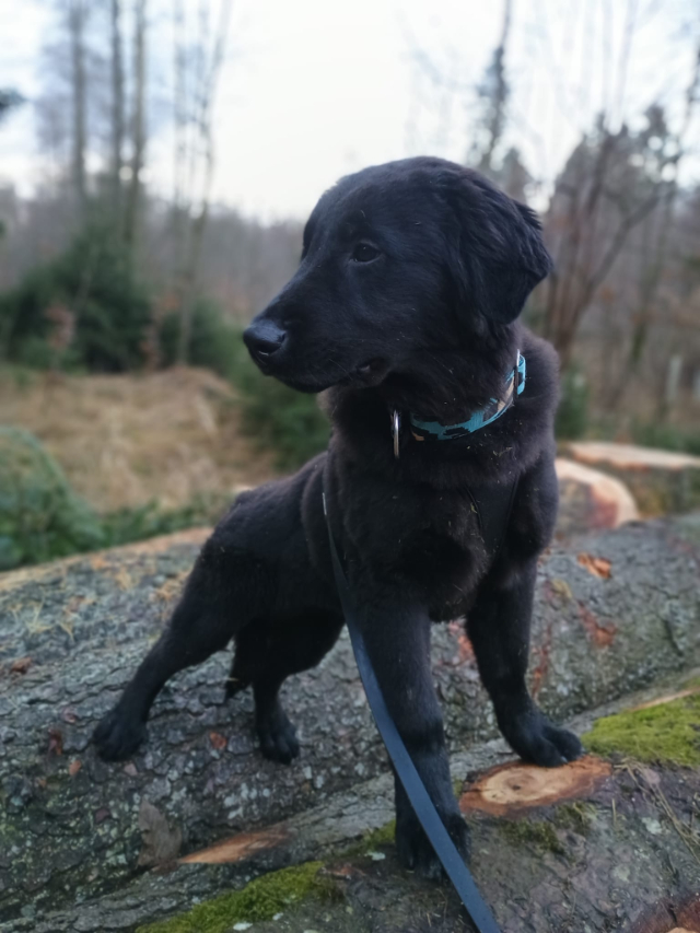 WhatsApp Image 2025-12-17 at 18.25.49