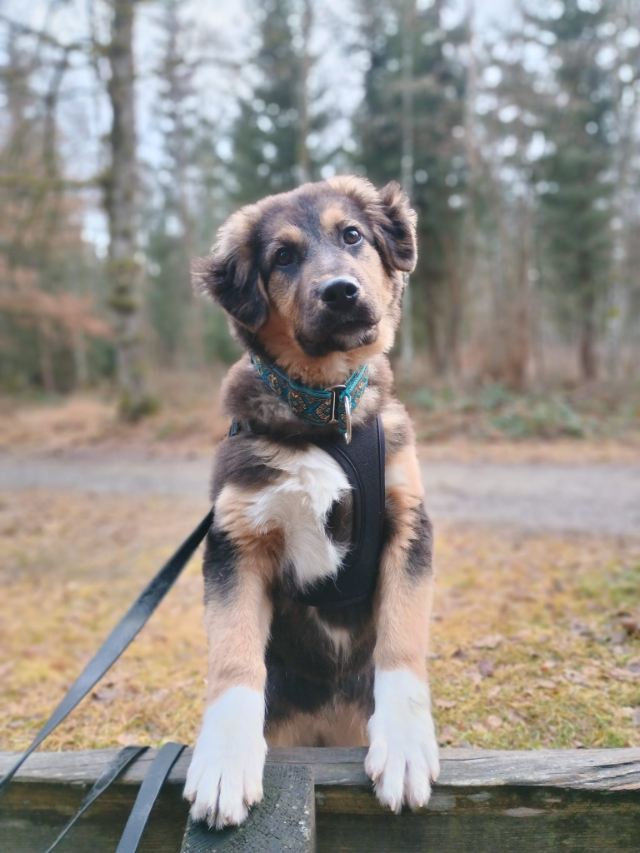 WhatsApp Image 2025-12-17 at 18.25.54 (1)