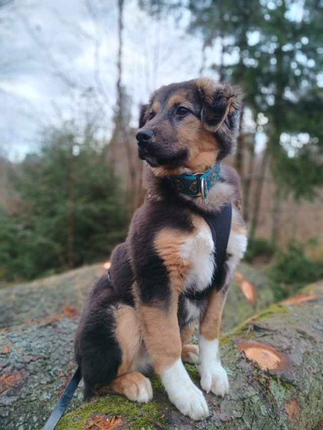 WhatsApp Image 2025-12-17 at 18.25.54