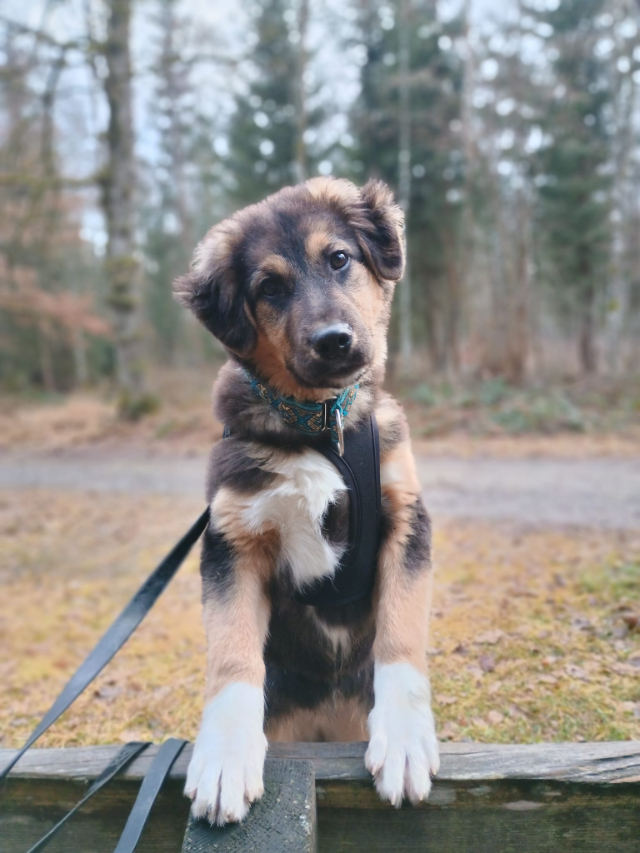 WhatsApp Image 2025-12-17 at 18.25.55