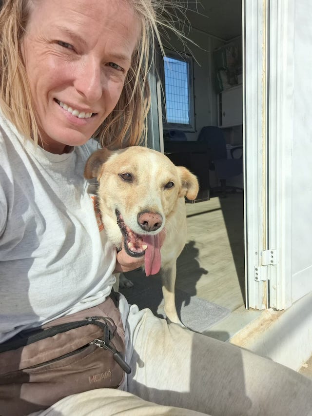 fellengel_kanelakis_2