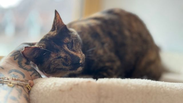 fellengel_markella_2