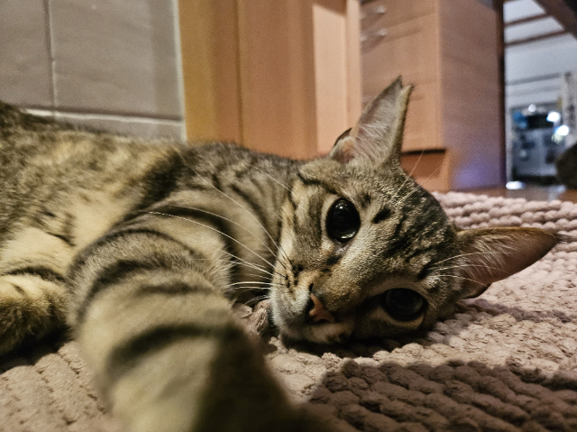 Smartie2