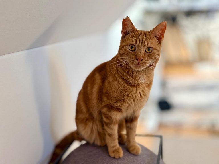 WhatsApp Image 2026-01-15 at 14.39.00 (1)