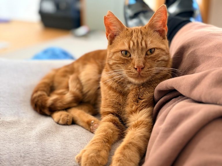 WhatsApp Image 2026-01-15 at 14.39.00 (2)