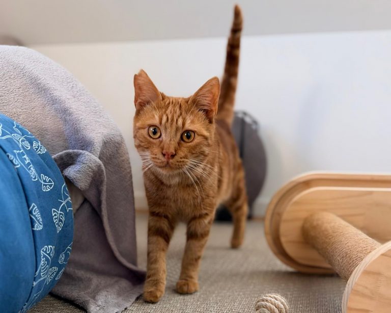 WhatsApp Image 2026-01-15 at 14.39.00