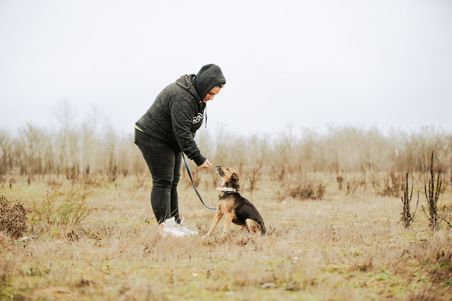 fellengel_optimista_1