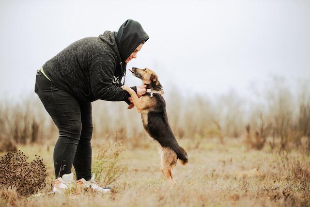 fellengel_optimista_11