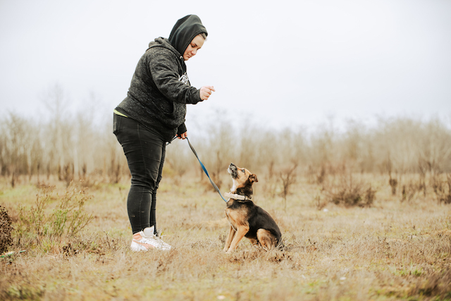 fellengel_optimista_2