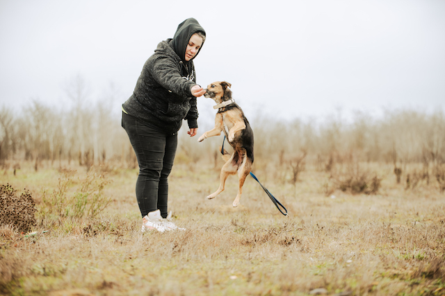 fellengel_optimista_3