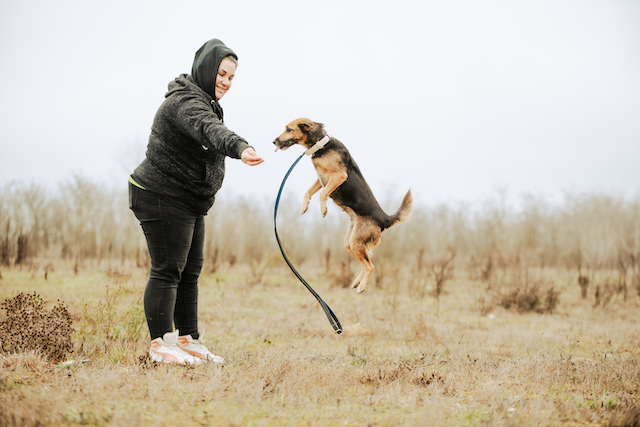 fellengel_optimista_4