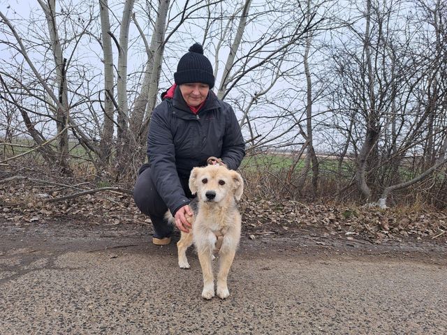 fellengel_fülöp_02