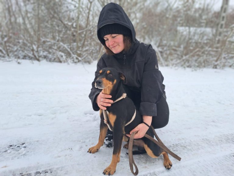 fellengel_jasper_1 (10)