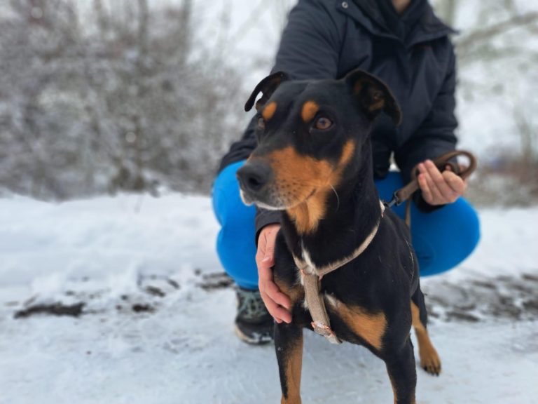 fellengel_jasper_1 (2)