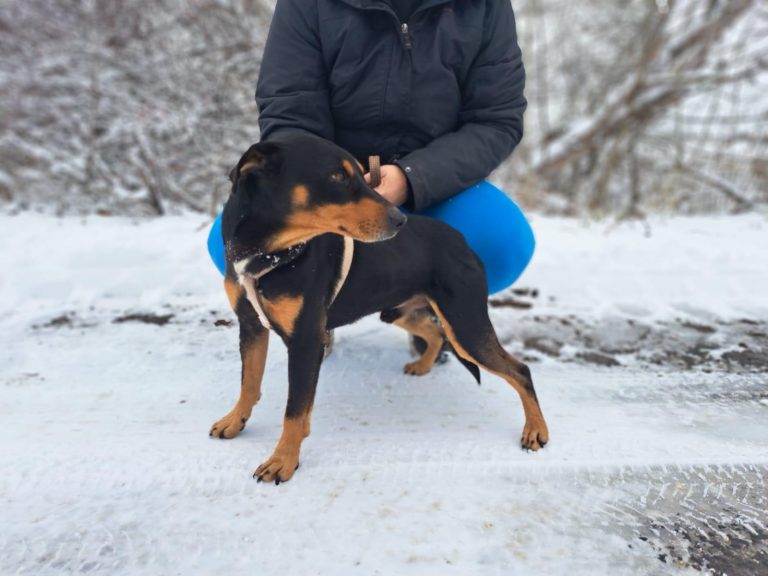 fellengel_jasper_1 (4)