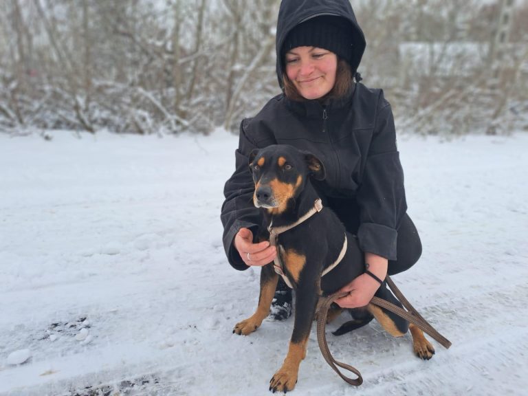 fellengel_jasper_1 (5)