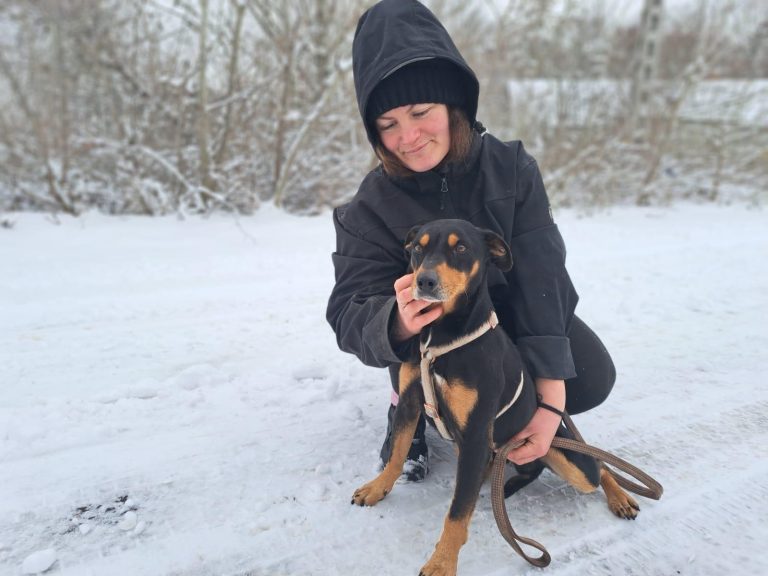 fellengel_jasper_1 (7)