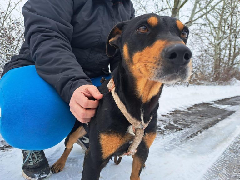 fellengel_jasper_1 (8)