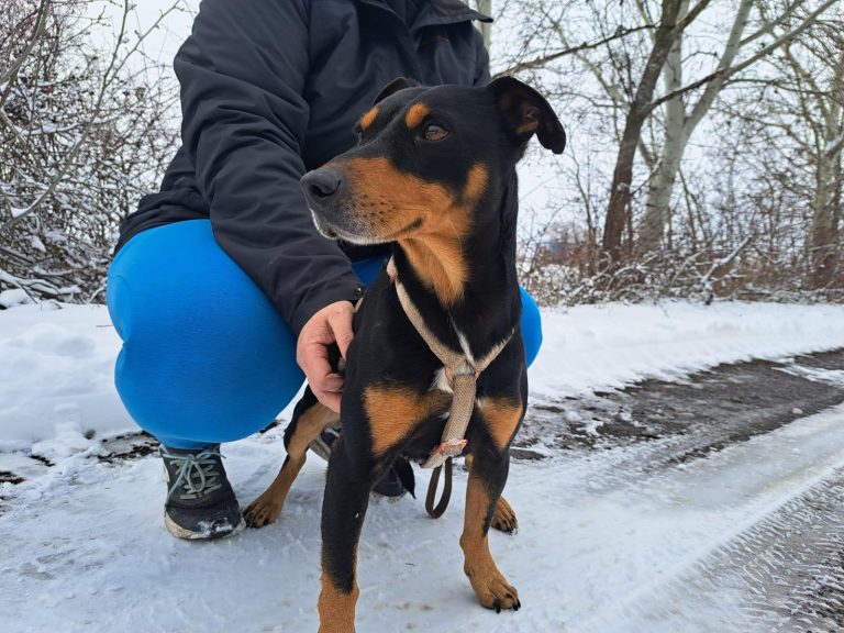 fellengel_jasper_1 (9)