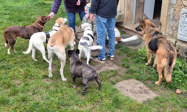 fellengel_mamababsi_02