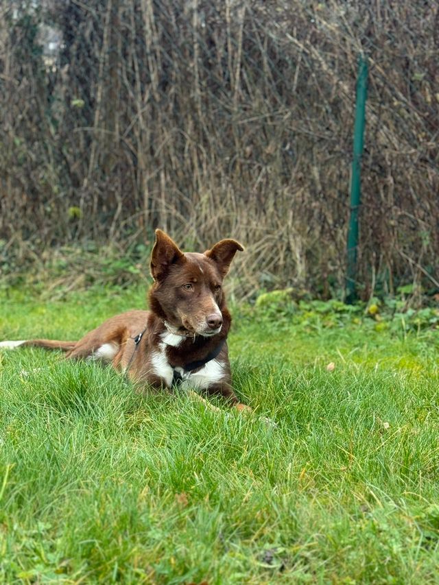 fellengel_mamababsi_03