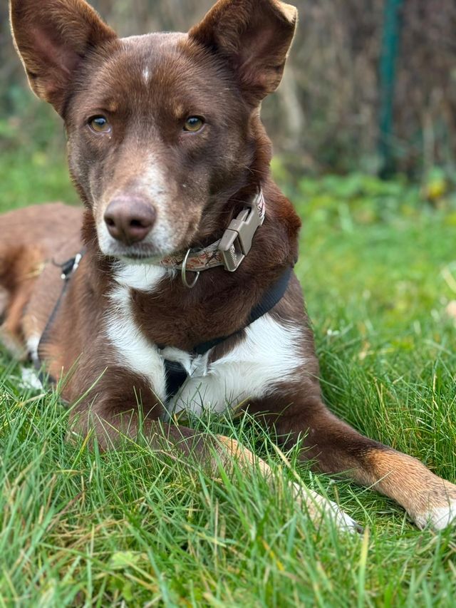 fellengel_mamababsi_04