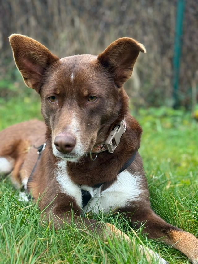 fellengel_mamababsi_05