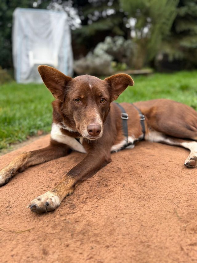 fellengel_mamababsi_06