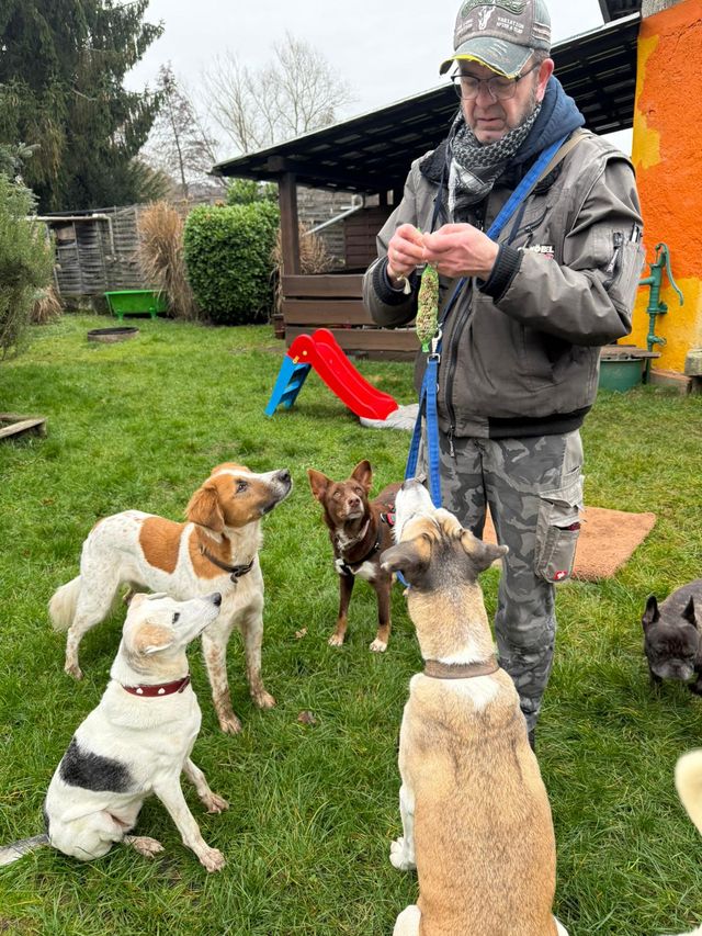 fellengel_mamababsi_08