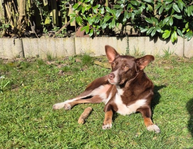 fellengel_mamababsi_10