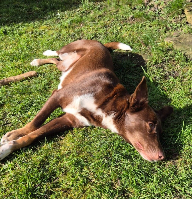 fellengel_mamababsi_11