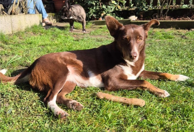 fellengel_mamababsi_9