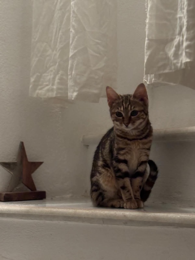 fellengel_maxima&vivian_2