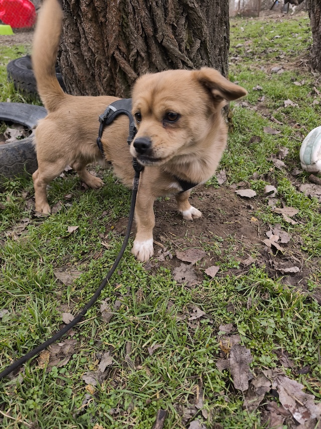 IMG_20260216_124838_4