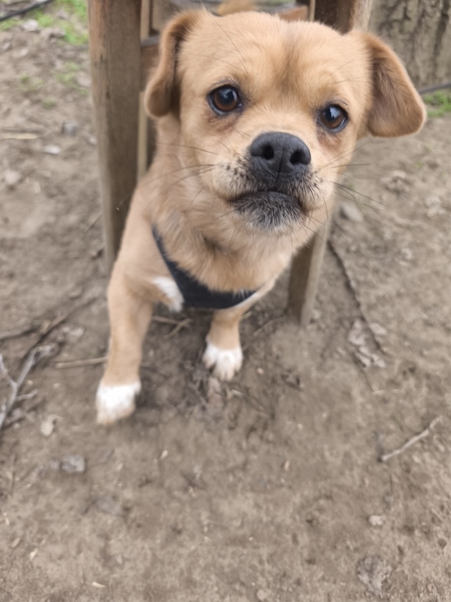 IMG_20260216_125054_2