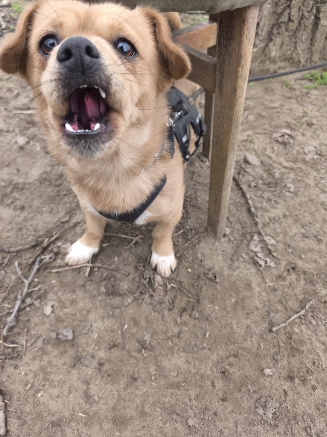 IMG_20260216_125054_3