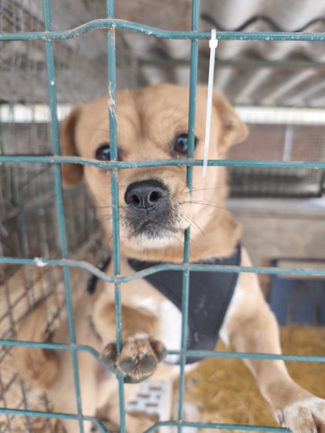 WhatsApp Image 2026-02-14 at 20.58.48 (1)