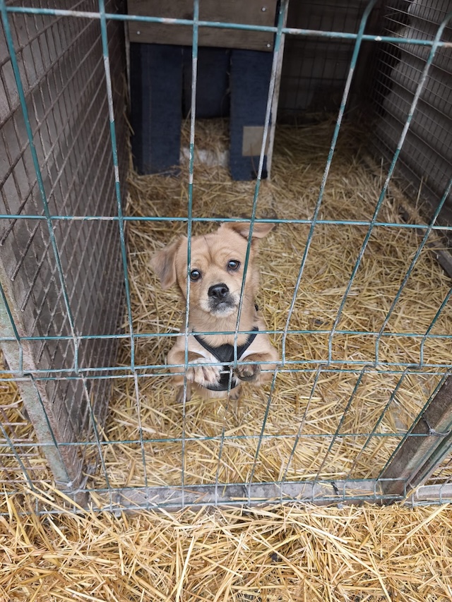 WhatsApp Image 2026-02-14 at 20.58.49