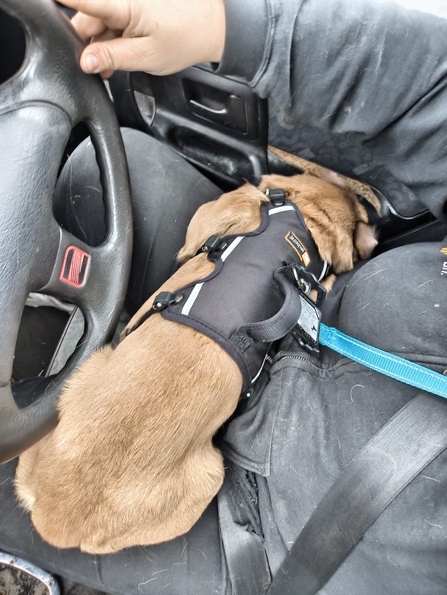 WhatsApp Image 2026-02-14 at 20.58.50 (1)