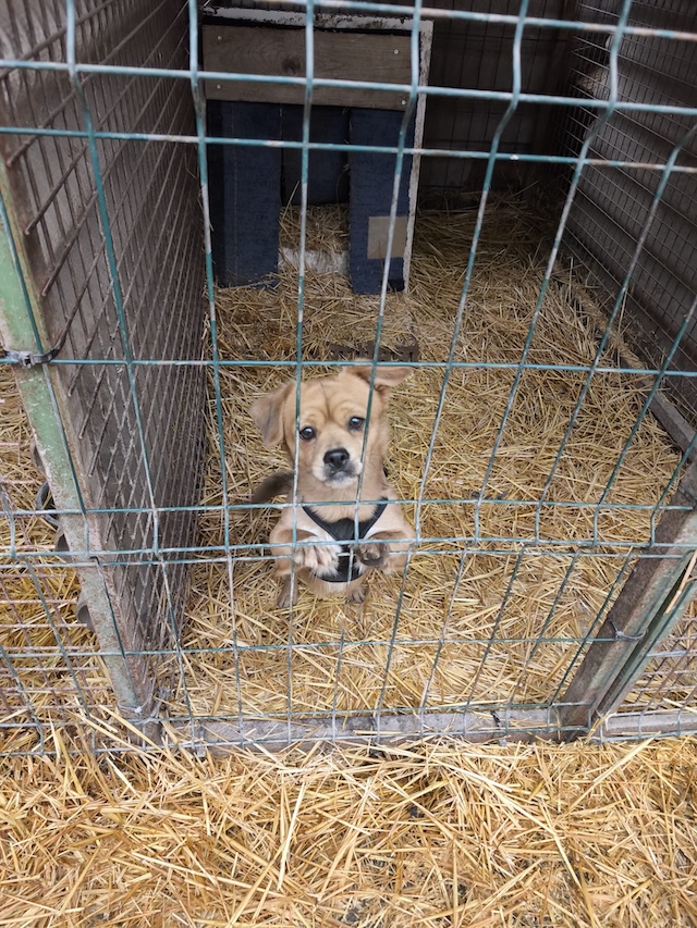 WhatsApp Image 2026-02-14 at 20.58.50 (2)