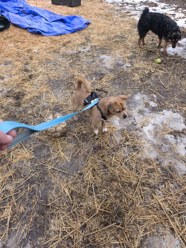 WhatsApp Image 2026-02-14 at 20.58.50