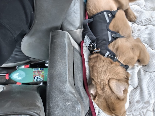 WhatsApp Image 2026-02-14 at 20.58.51 (2)